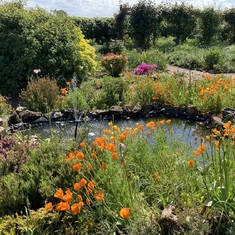 Her beautiful tranquil garden - May 2022