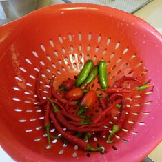 Peppers from the garden - Part 1A (August 2018)