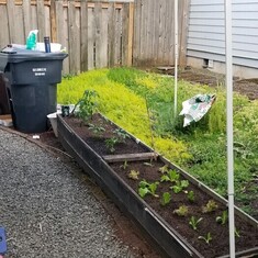 Building more beds for the garden (May 2020)