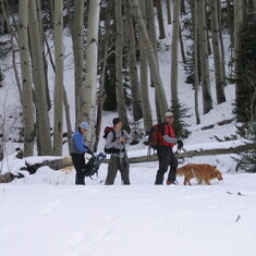 Laika, Mark, Nate, and Laura skinning around near the cabin