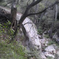 Cold Springs Trail,  Montecito