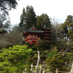 One of his favorite places - the Japanese garden in SF. I dragged my band there on his request