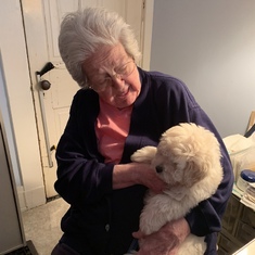 Grandma meeting Theo, Brand dog 2018