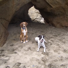 Tiger and Lucy at Ft. Funston, May 2007