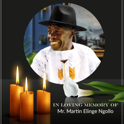 Mr Martin Elinge Ngollo (Brodés)