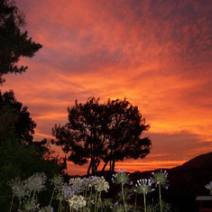 2008, 3, Mary Hsia's Orange sunset from her backyard in Tujunga, CA