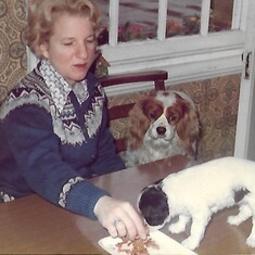 puppy 1976
