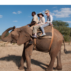 5 - May 2014 Elephant Ride