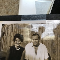 Mom and Dad by our pool on Mallory Street Orange County California 
