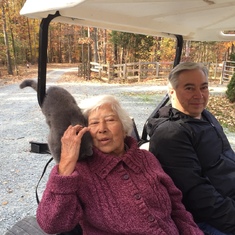 Golf carting with George and her cat in NC