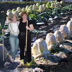 In the Cabbage Patch