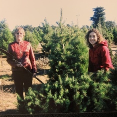 As kids, we would cut down our Christmas tree every year. It was moms turn to saw : )