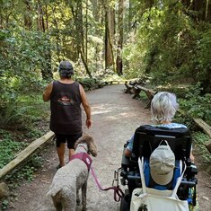 MaryAnne loved the Armstrong Redwoods.