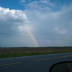 Marykays rainbow.....2

the same picture but shows up different....for Michelle'