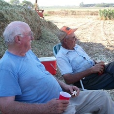 Harvest 8-1-2012 005