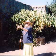 Colchester Zoo 1998