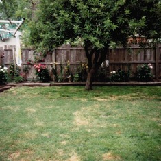 moms-backyard-flowerbed