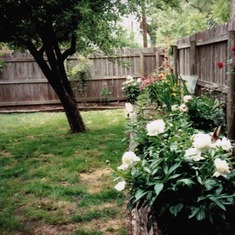moms-backyard-flowerbed-002