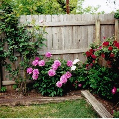 moms-backyard-flowerbed-003