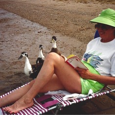 Megan reading with fine feathered friends