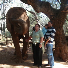 Walking with elephants in S.A.