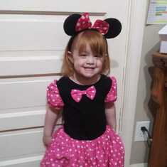 Haylee in her Minnie Mouse Halloween costume. She will be 3 next month already!