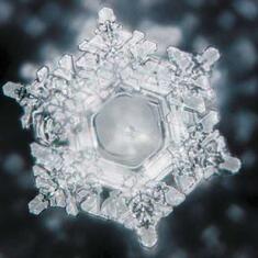 A Hidden Message in the Water by Masaru Emoto