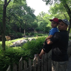 Bronx Zoo