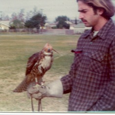 Michael taking hawk for a flight.
