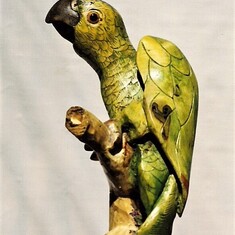 one of many parrots Mike carved over the years