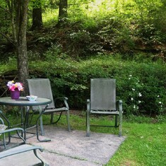 We would sit back here on summer evenings and listen to the wood thrushes sing - so peaceful