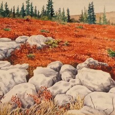 a watercolor of Dolly Sods Wilderness in the autumn