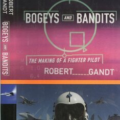 Bogeys and Bandits