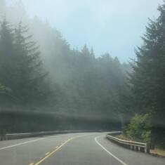 Hwy 101 to Gold Beach