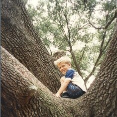 michael in tree