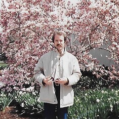 Cherry Blossoms - 1987