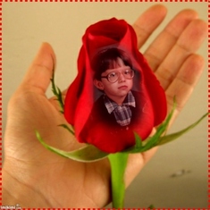 My Little Rose Bud (Michael)