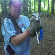 rescuing possums