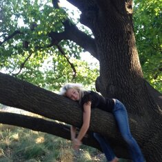 Michelle lying in her favorite tree in Davis:)