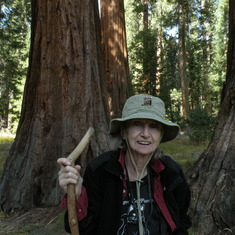 A visit to the Giant Sequoia Trees in her 90s