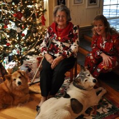Christmas with the Granddogs Haiku & Bonsai