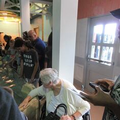 Mom checking out the stingrays at the Adventure Aquariam 2016