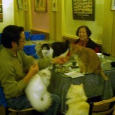 remember the time the three of us went to the kitty cafe... we were the die hard cat lovers!