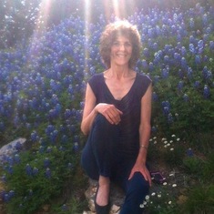 Beauty in the blue bonnets Spring 2012
