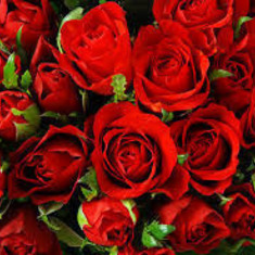 Mom loved red roses. ❤️