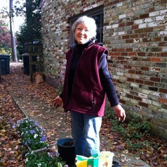 Mom planting pansies while Dad raked the yard on his 75th birthday. 