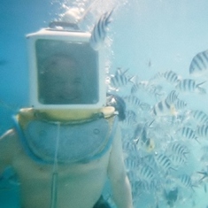 Helmut Dive NW on Bora Bora