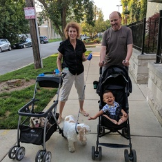 Walking grandson and dogs in Chicago