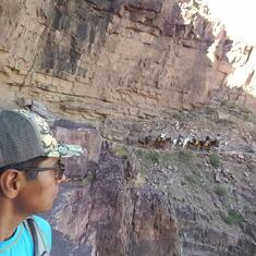 Nemorio's First Time at Grand Canyon - 09-05-2016