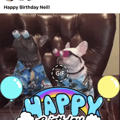 Birthday wishes with the help of two Frenchies.